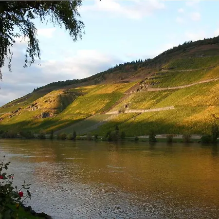 Appartamento Direkt Am Moselufer *