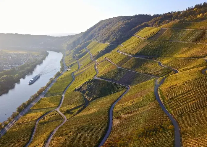 Apartamento Direkt Am Moselufer