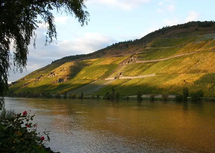 Apartamento Direkt Am Moselufer *